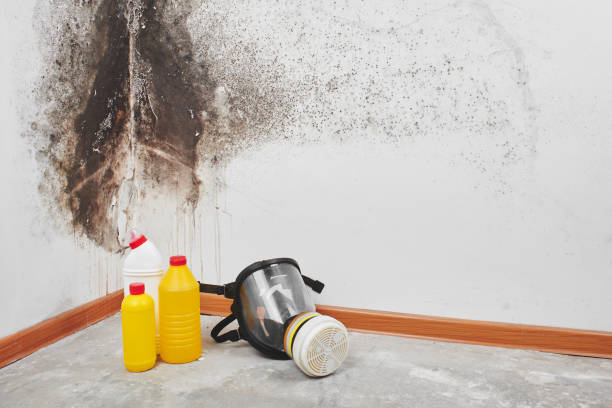 Water Damage Restoration in Frederick, OK