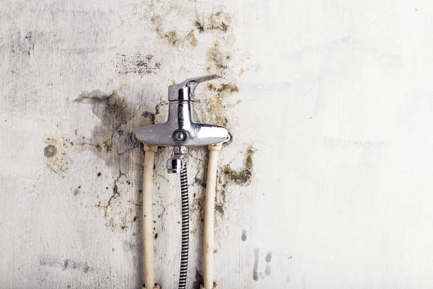 Best Mold Testing and Removal  in Frederick, OK