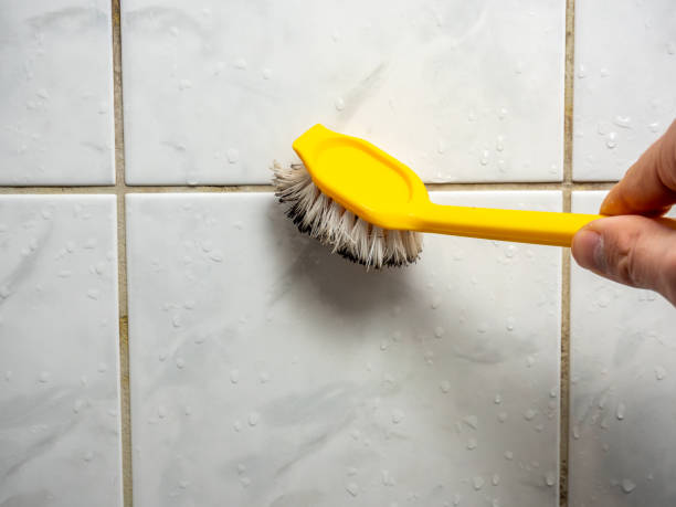 Best Residential Mold Removal  in Frederick, OK
