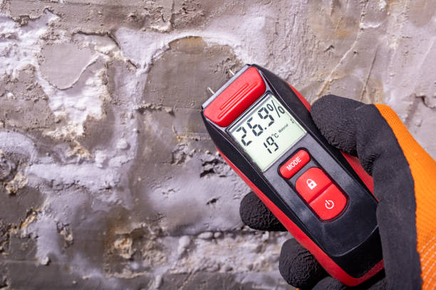 Best Toxic Mold Removal  in Frederick, OK