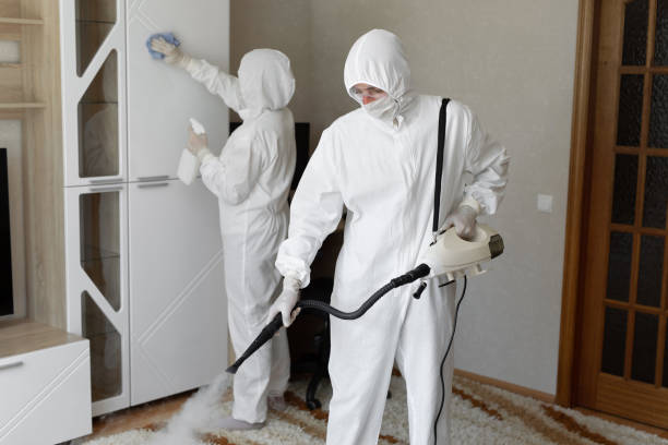 Best Mold Inspection  in Frederick, OK